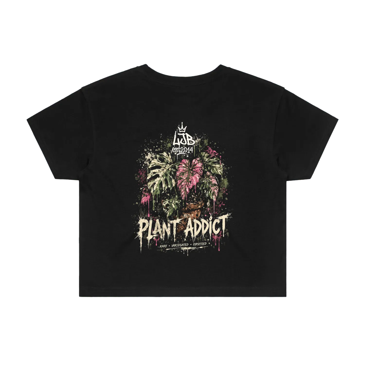 Plant Addict - Crop Monsteras
