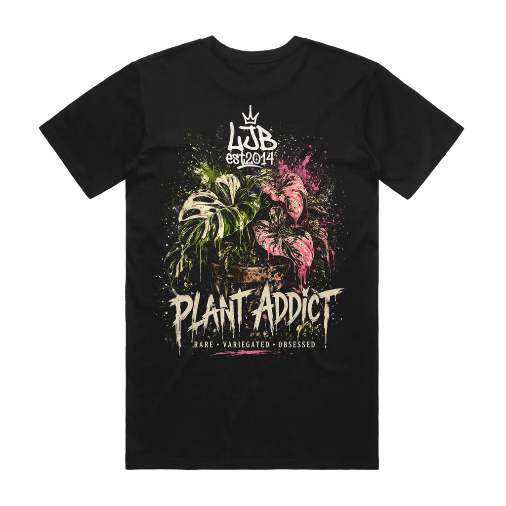 Plant Addict 1 - Monstera Caladiums