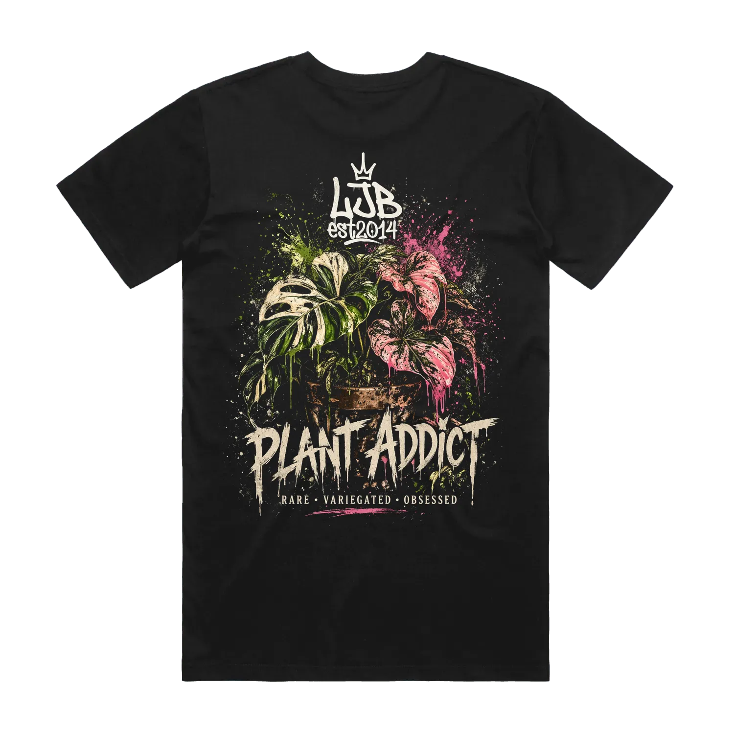 Plant Addict 1 - Monstera Caladiums