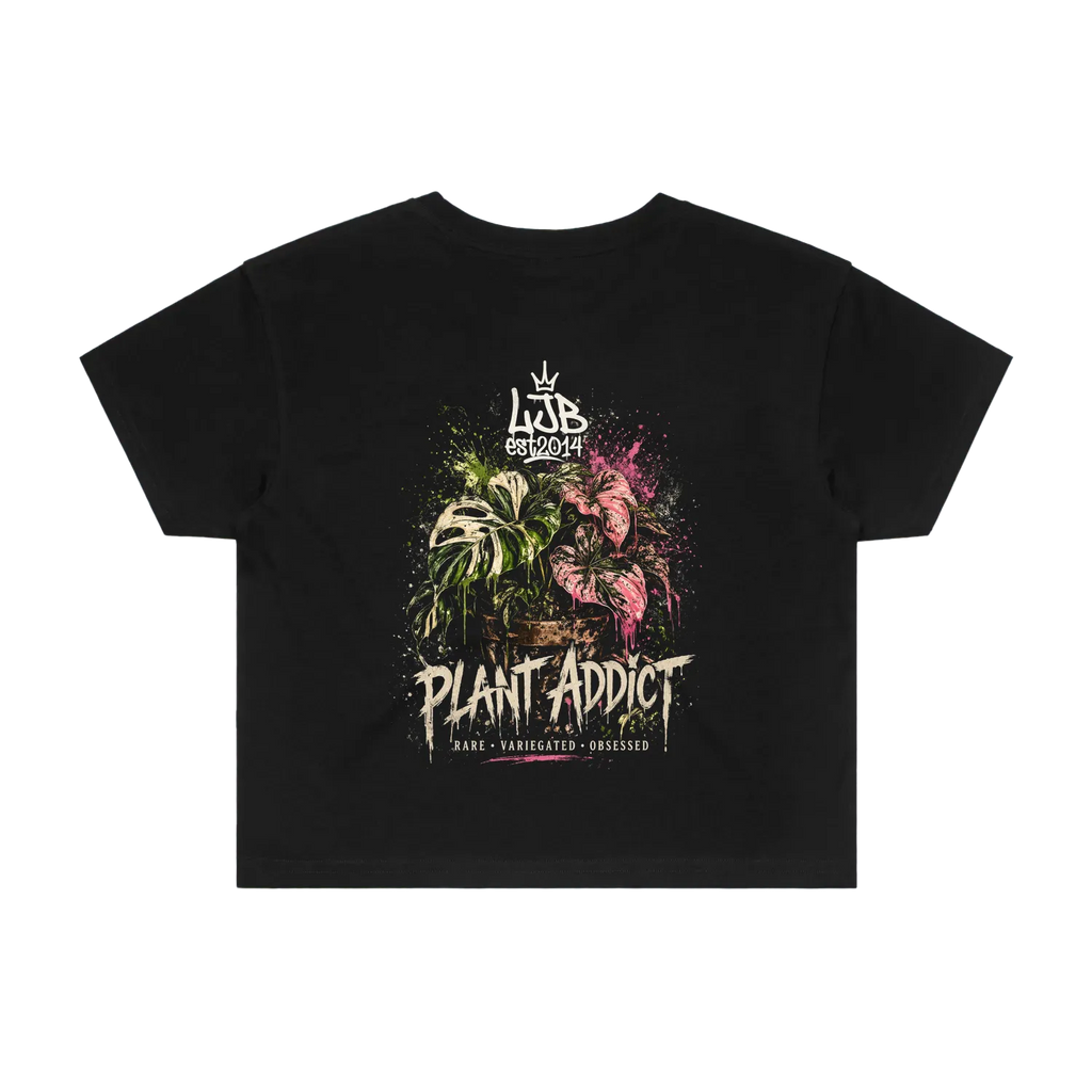 Plant Addict  - Monstera Caladiums - Women's Crop T