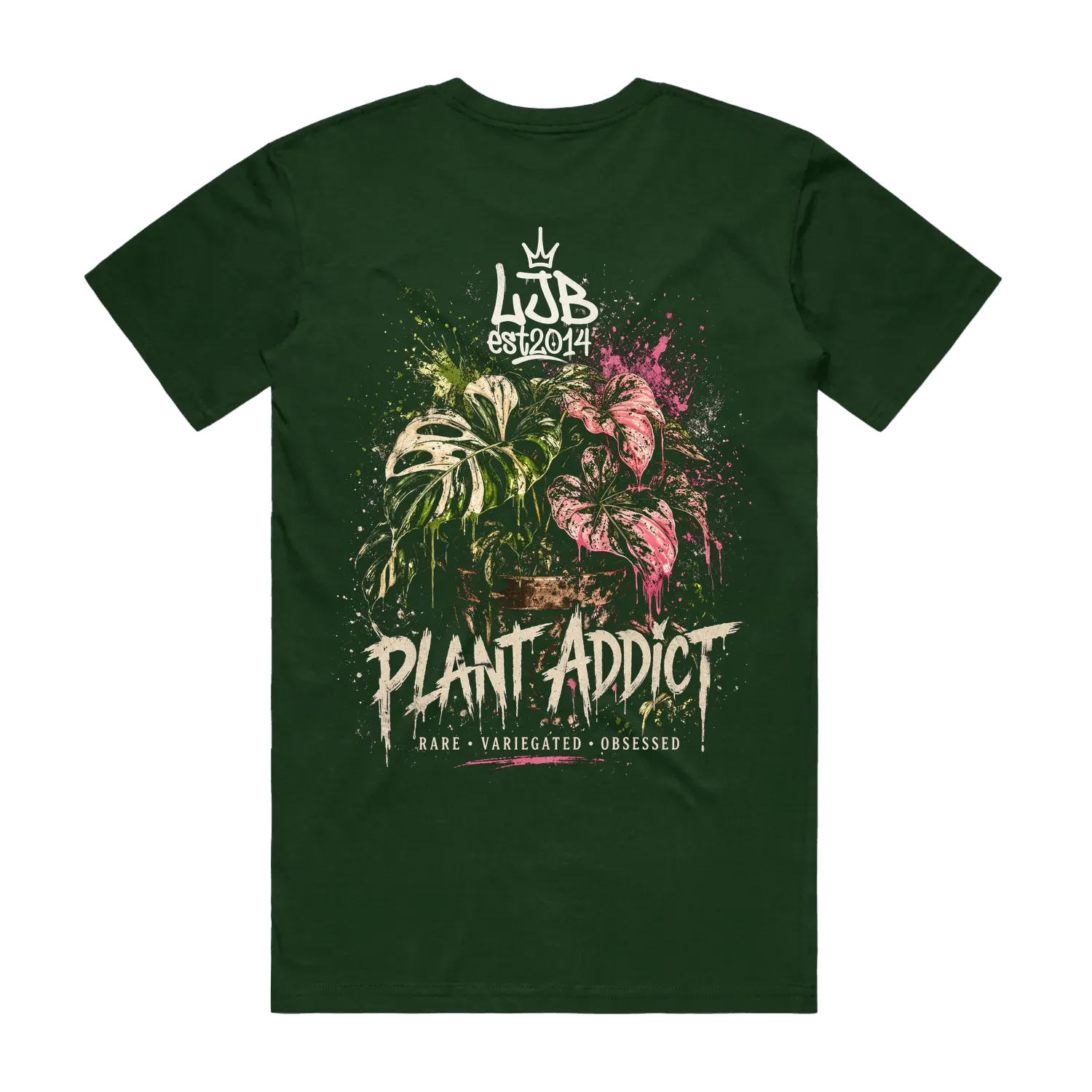 Plant Addict 1 - Monstera Caladiums