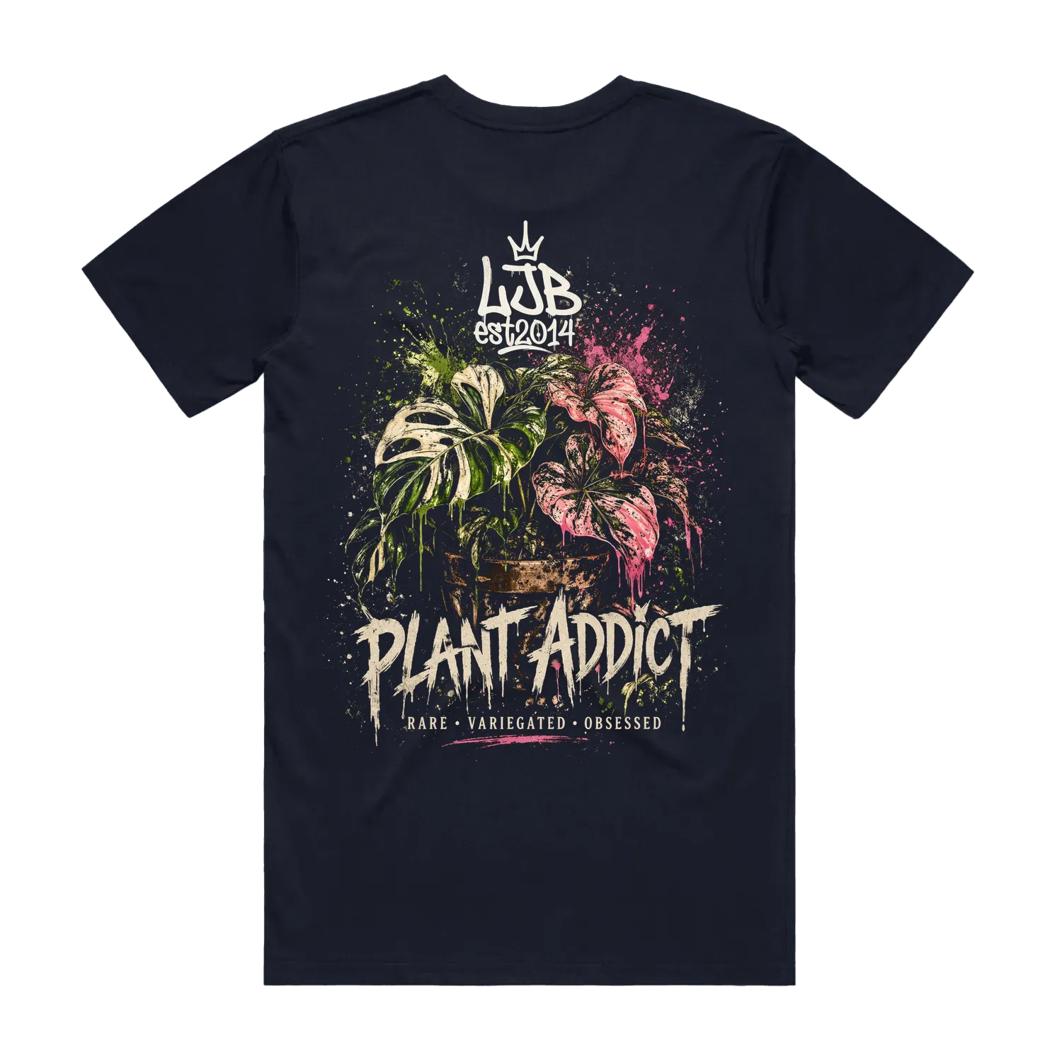 Plant Addict 1 - Monstera Caladiums
